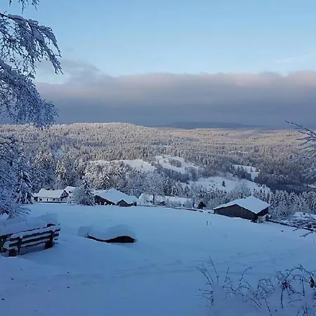 Lägenhet Mitterdorf Philippsreut