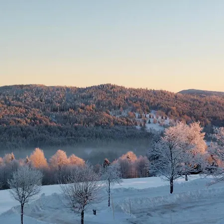 Mitterdorf Apartament *