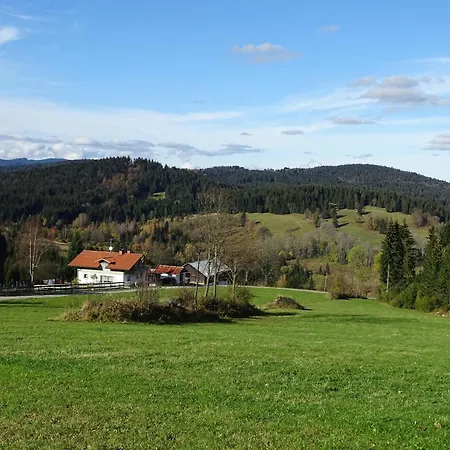 Apartament Mitterdorf *